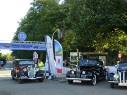 parel der voorkempen - 2024 - marijke b_2